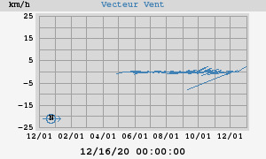 Wind Vector